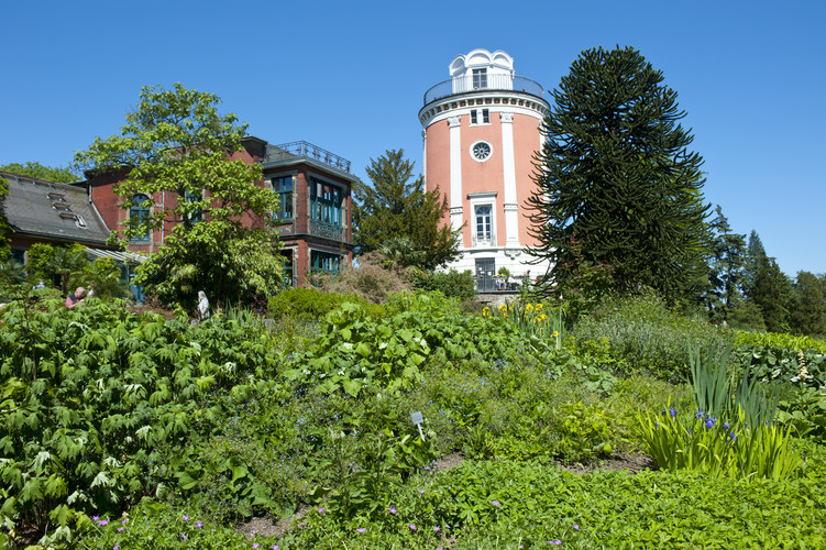 Elisenturm auf der Hardt
