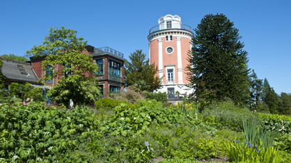 Elisenturm auf der Hardt