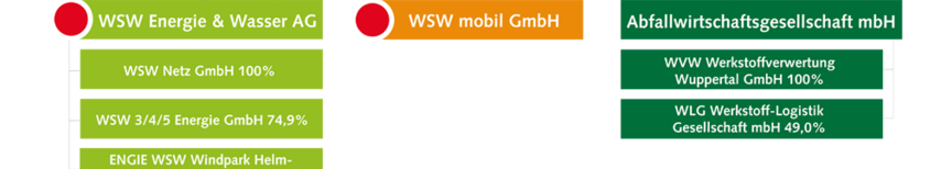 WSW Konzernstruktur
